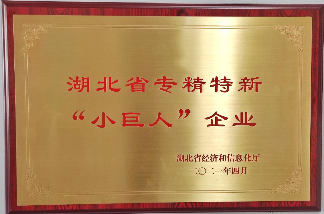 湖北省專精特新&ldquo;小巨人&rdquo;企業(yè)